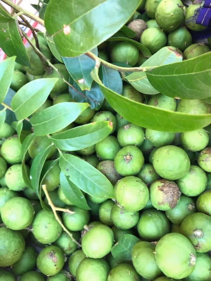 đặc sản hà nội có thể làm quà